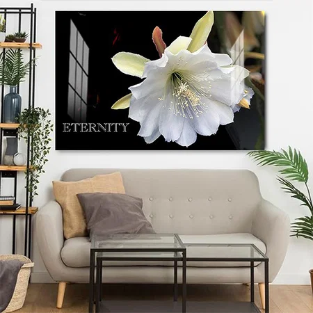 Dramatic Eternity Epiphyllum Flower Customized Photo Printed Rectangle Horizontal Acrylic Photo Frame