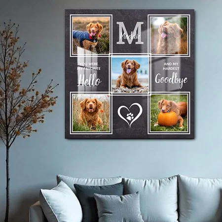Pet Memorial Pet Loss Personalized 5 Photo Collage Customized Printed Square Acrylic Photo Frame