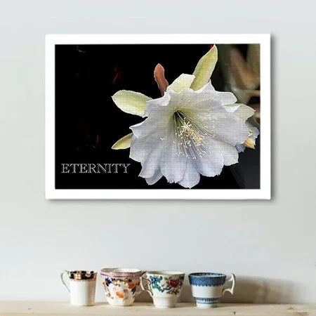 Dramatic Eternity Epiphyllum Flower Customized Photo Printed Rectangle Horizontal Canvas Frame