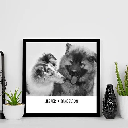 Simple, Modern Custom Pet or People Customized Photo Printed Square Canvas Frame