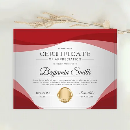 Professional Certificate of Appreciation Award Customized Horizontal Landscape Certificate
