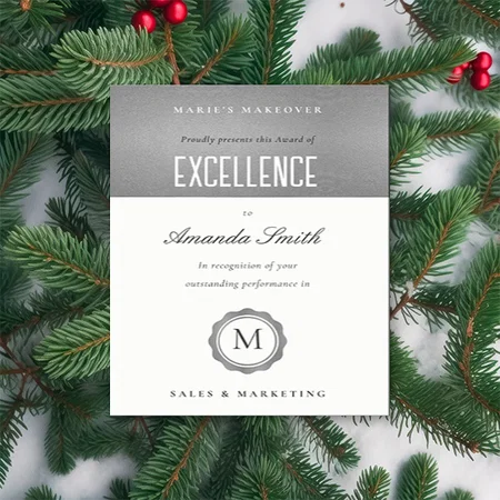 Silver Gold Minimal Logo Award of Excellence Customized Vertical Portrait Certificate