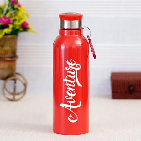 Red Customized Stainless Steel Bottle with Carabiner - 750 ML