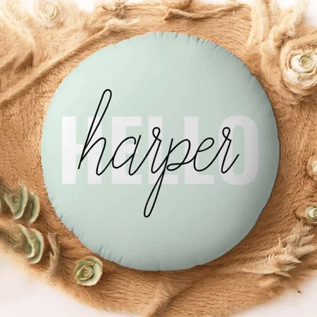 Modern Pastel Mint Hello And You Name Customized Photo Printed Circle Cushion Pillow
