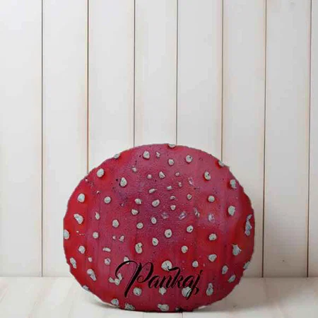 Fly Amantis Pattern Customized Photo Printed Circle Cushion Pillow