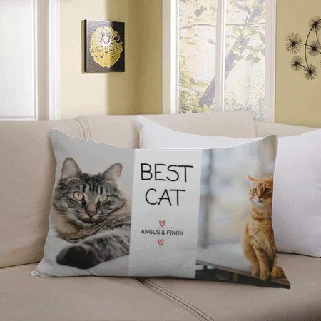 Best Cat with Photo Customized Photo Printed Pillow Cover