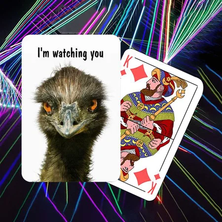 Emu Watching You Customized Photo Printed Playing Cards
