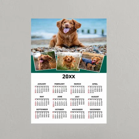 Modern Green Pet Photo Collage Customized Photo Printed Poster Calendar