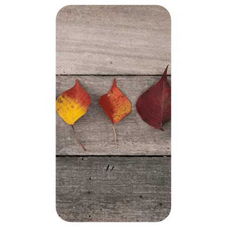 Rusty Leaves Customized Printed Glass Back Cover for var_category
