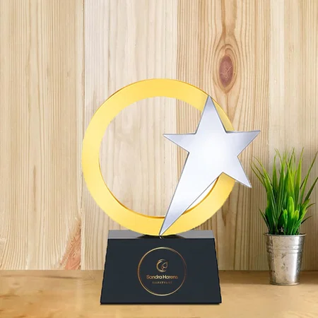 Golden Shooting Star in Circle Metal Customized Trophy Award - 14.5 CM