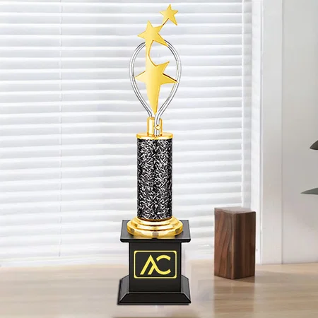 Golden Reach for the Stars Customized Trophy Award