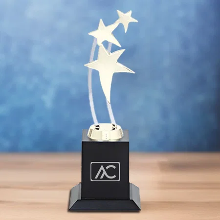 Silver Galaxy of Stars Customized Trophy Award - 22 CM
