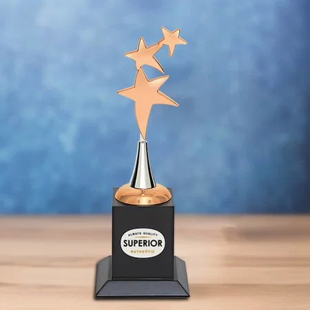 Bronze Stars Pathway Customized Trophy Award - 23.5 CM