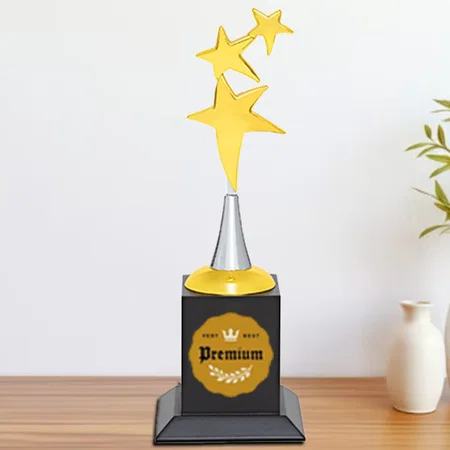 Golden Stars Pathway Customized Trophy Award - 23.5 CM