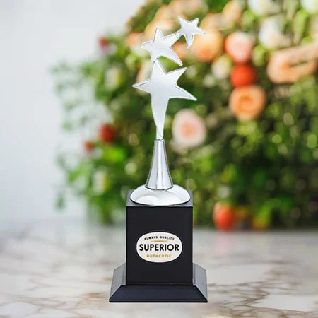 Silver Stars Pathway Customized Trophy Award - 23.5 CM