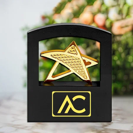 Golden Star Frame Customized Trophy Award - 14.5 x 19 CM