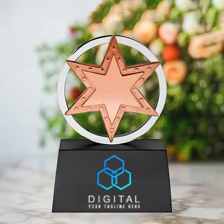 Bronze Star Circle Customized Trophy Award - 14.5 CM