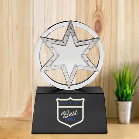 Silver Star Circle Customized Trophy Award - 14.5 CM
