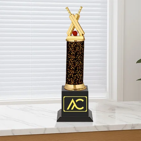 Cricket Bats & Ball Customized Trophy Award - 29.5 CM