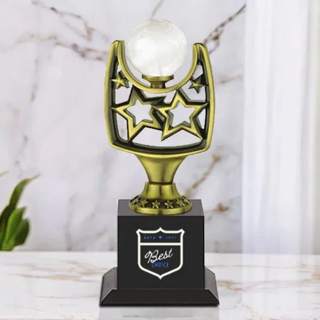 Golden Star Frame Customized Trophy Award - 28 CM