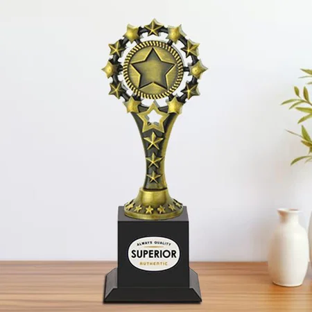 Star Customized Trophy Award - 30 CM