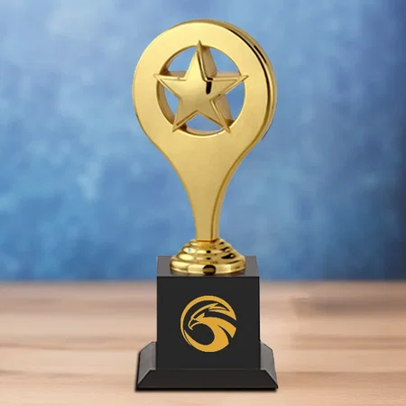Golden Star Customized Trophy Award - 26.5 CM