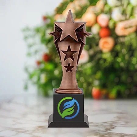 Bronze Tri-Star Customized Trophy Award - 28.5 CM