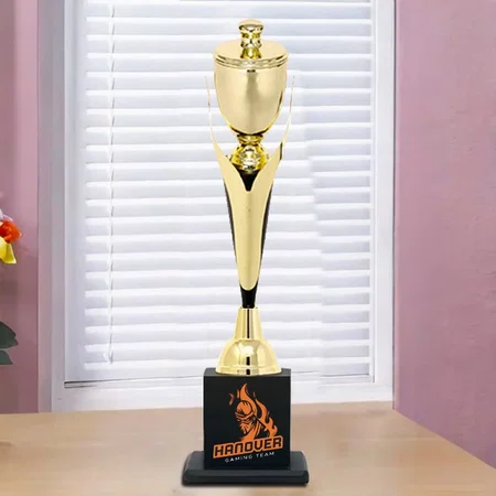 Standard Design Metal Customized Trophy Award
