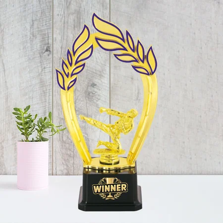 Golden Martial Arts Karate Fighter Customized Trophy Award - 28.5 CM