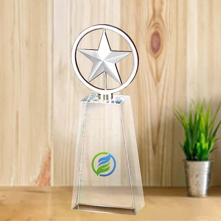 Star on Top Premium Crystal Customized Trophy Award - 23 CM