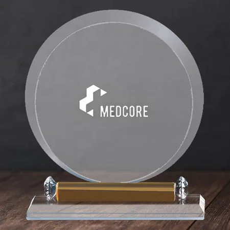 Basic Circle Crystal Customized Trophy Award - 17 CM