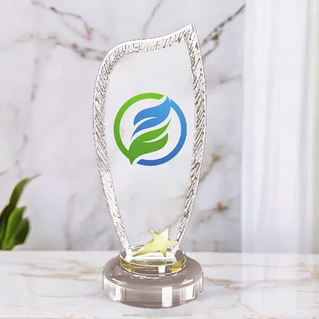 Textured Premium Crystal Customized Trophy Award - 26.5 CM