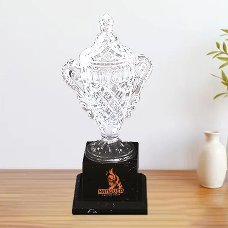 Crystal Cup Customized Trophy Award