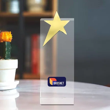 Golden Shining Star Crystal Customized Trophy Award - 21.5 Cm
