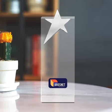 Silver Shining Star Crystal Customized Trophy Award - 21.5 Cm