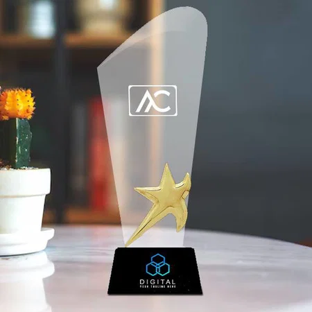 Gold Star on Crystal Customized Trophy Award - 24.5 CM