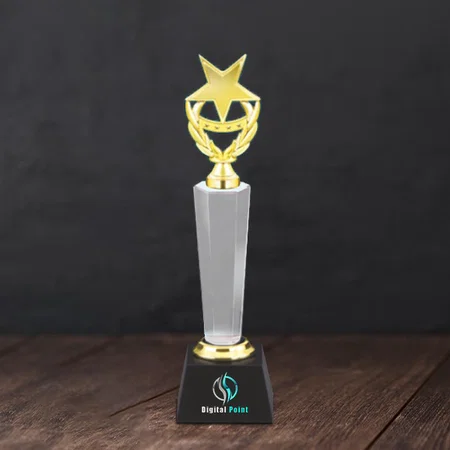 Golden Star Crystal Customized Trophy Award - 9.5 Inch