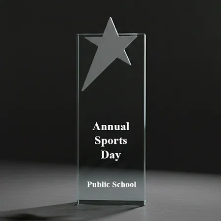 Crystal Silver Star Customized Trophy Award - 8.5 Inch