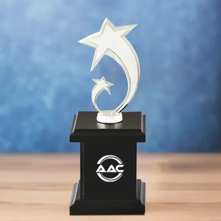 Silver Flying Stars Customized Trophy Award - 25.5 CM