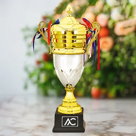 Silver & Golden Winner Cup Customized Trophy Award