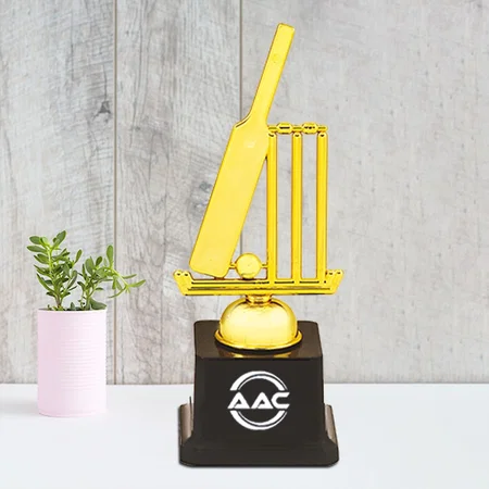 Cricket Bat, Ball & Wicket Customized Trophy Award