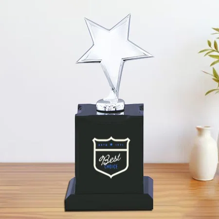 Basic Silver Star Customized Trophy Award - 21.5 CM