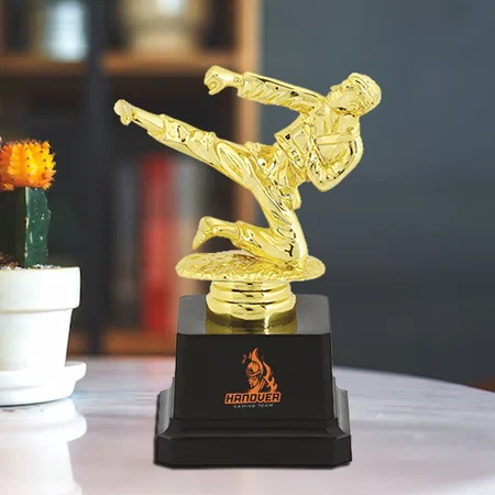 Martial Arts Golden Customized Trophy Award - 15 CM