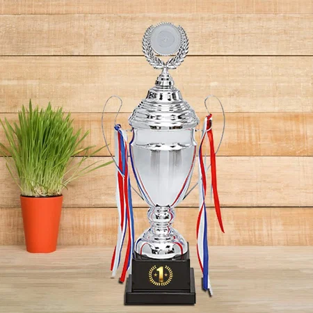 Silver Cup Premium Customized Trophy Award