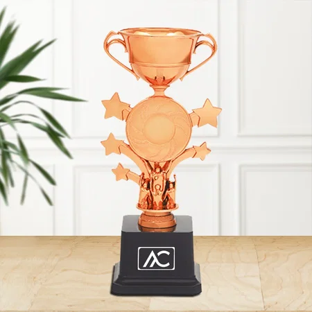 Bronze Cup Customized Trophy Award - 21 CM