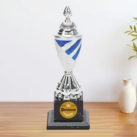 Silver & Blue Cup Customized Trophy Award