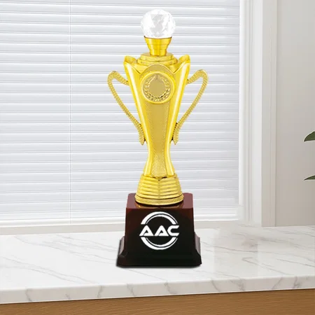 Jewel on Top Golden Customized Trophy Award