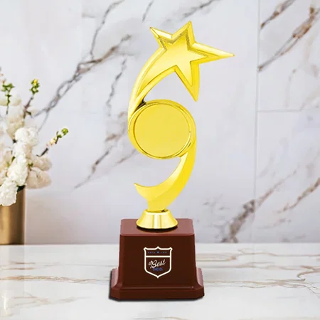 Single Star Golden Customized Trophy Award