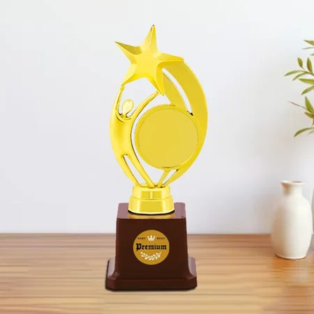 Winning Star Golden Customized Trophy Award