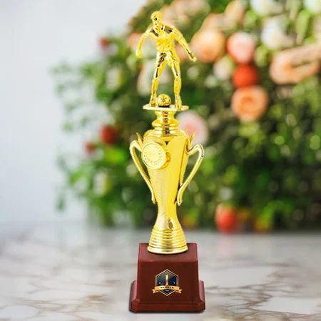 Football Player Golden Customized Trophy Award